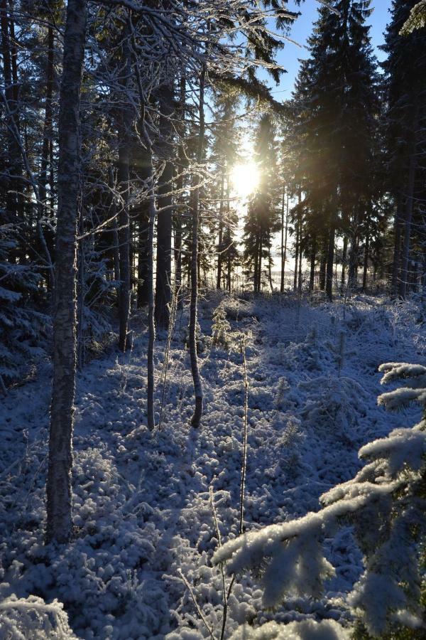 Готель Kujanpaeae | Paajoen Vuokramoekit Himos Екстер'єр фото